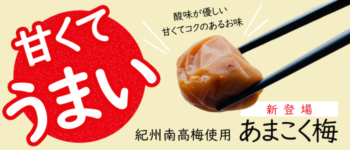 梅エキス 梅肉エキス 90g 紀州和歌山 梅干し みかんのja紀南