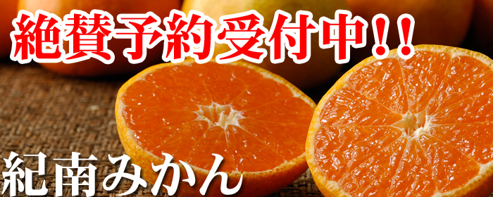 氷梅 冷凍南高梅(梅酒・梅ジュース用)<冷凍梅> 500g (1個口10kgまで) 紀州和歌山 梅干し・みかんのJA紀南 氷梅 冷凍南高梅(梅酒・梅ジュース用)<冷凍梅> 500g (1個口10kgまで) 紀州和歌山 梅干し・みかんのJA紀南