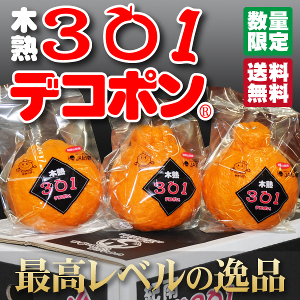 わんぱくミニ