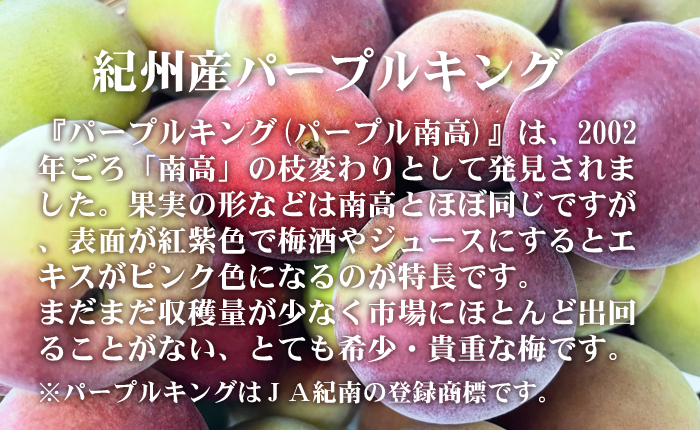 氷梅 冷凍パープルキング(梅酒・梅ジュース用)＜冷凍梅＞ 500g （１個口10ｋｇまで） 紀州和歌山 梅干し・みかんのJA紀南