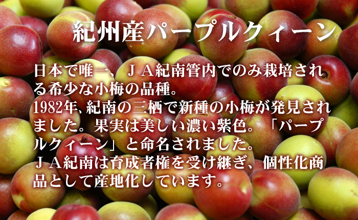 冷凍パープルクィーン