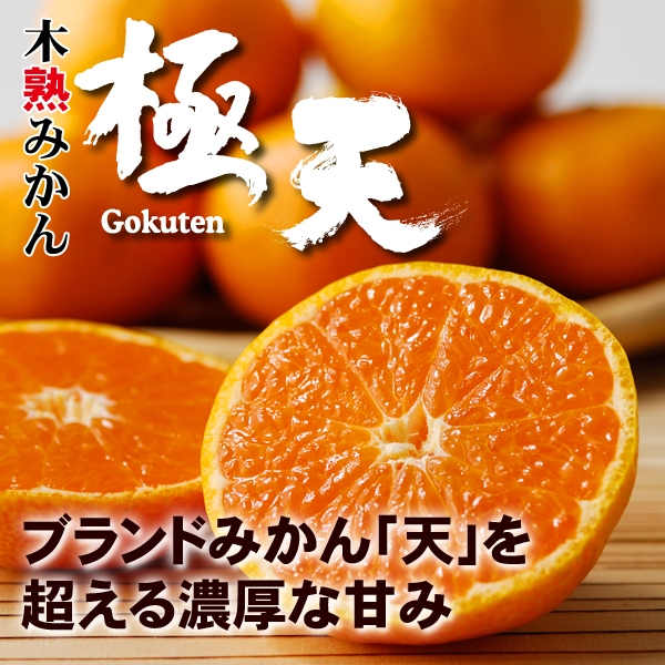 極天