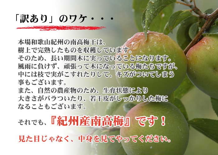 無選別訳あり】紀州完熟南高梅（まろの梅） 350g 紀州和歌山 梅干し・みかんのJA紀南