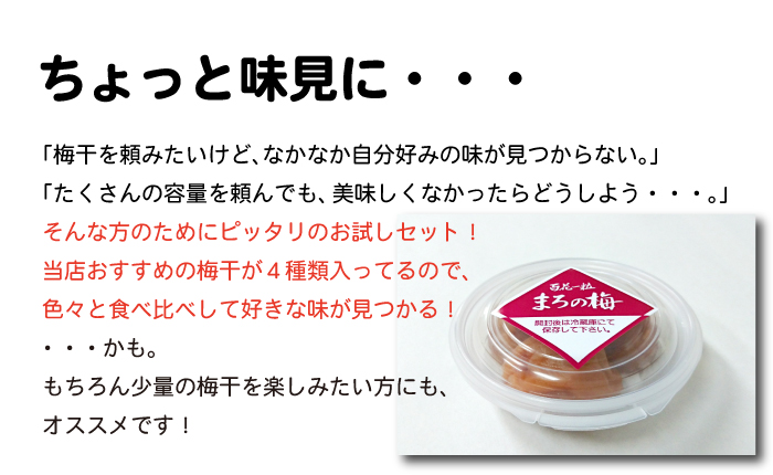 お試しセット