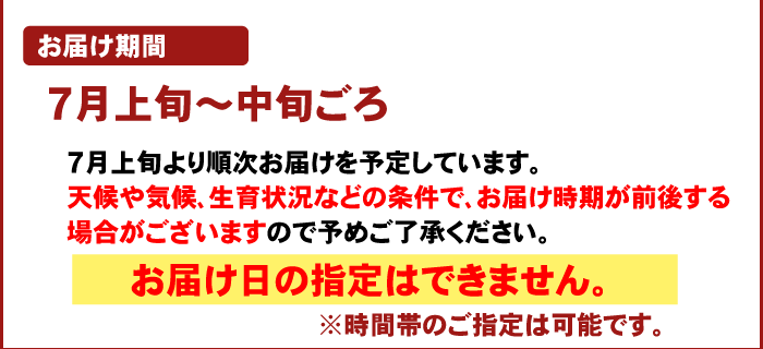 注文時注意【お届け期間】（バレンシア）