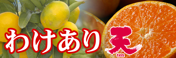 訳あり天