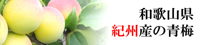 紀州産青梅