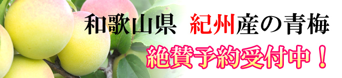 青梅