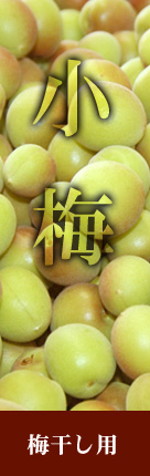青梅（小梅）