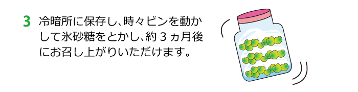 青梅レシピ（梅酒）