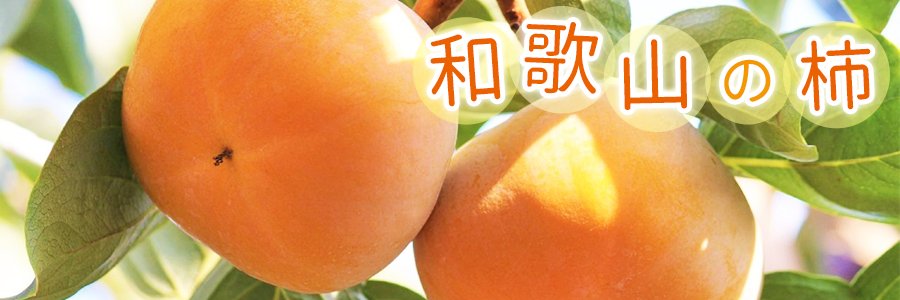 和歌山の柿