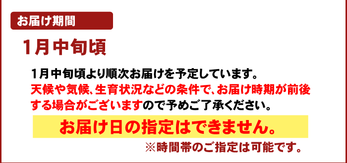 注文時注意【お届け期間】（越冬木熟みかん）