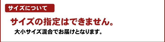 注文時注意【サイズ】（越冬木熟みかん）