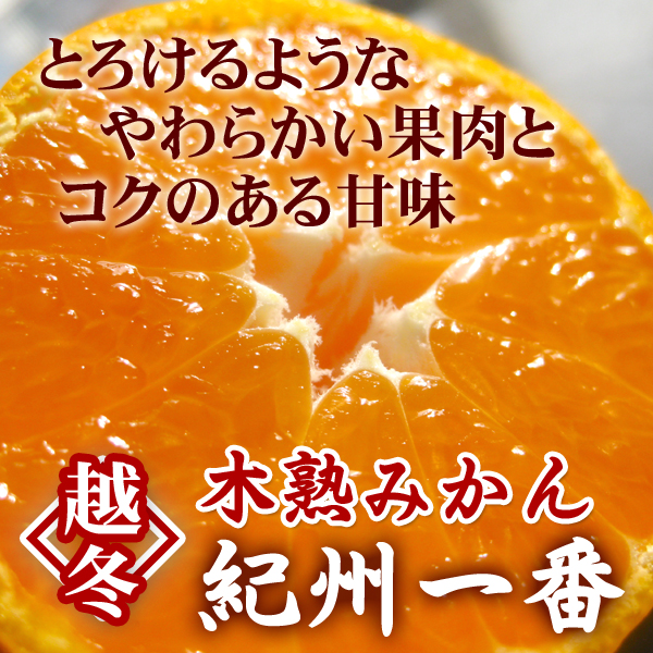 越冬木熟