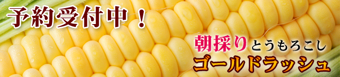 とうもろこし