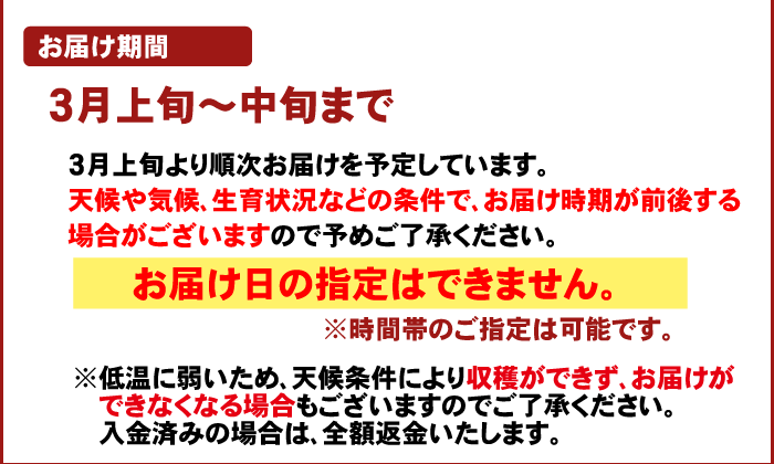 注文時注意【お届け期間】（木熟ネーブル）