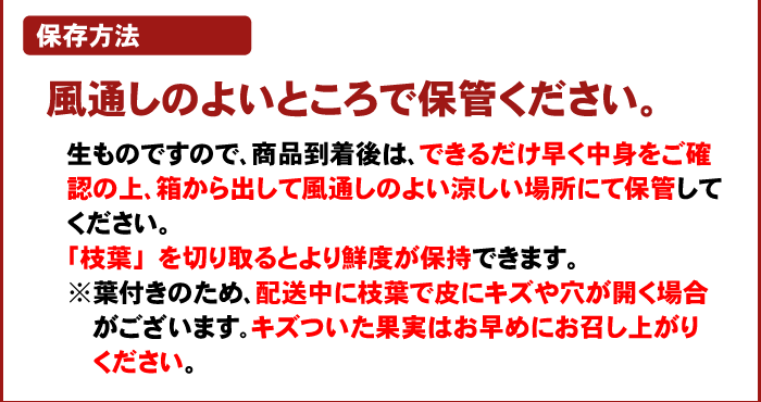 注文時注意【保存方法】（木熟ネーブル）