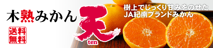 木熟みかん天
