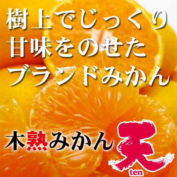 木熟みかん天