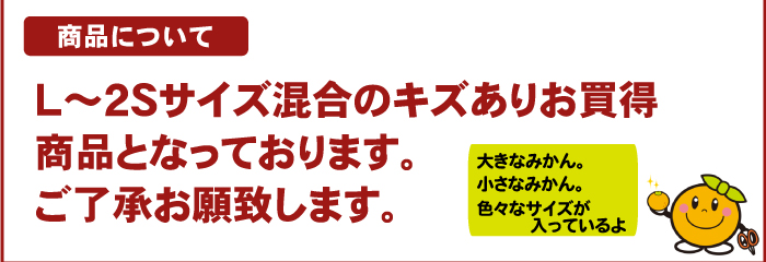 注文時注意【商品について】