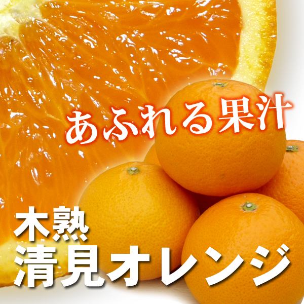 きよみ