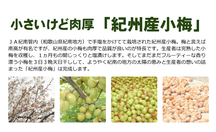 紀州産小梅