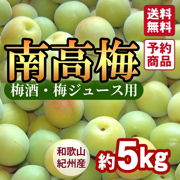 南高梅(青)