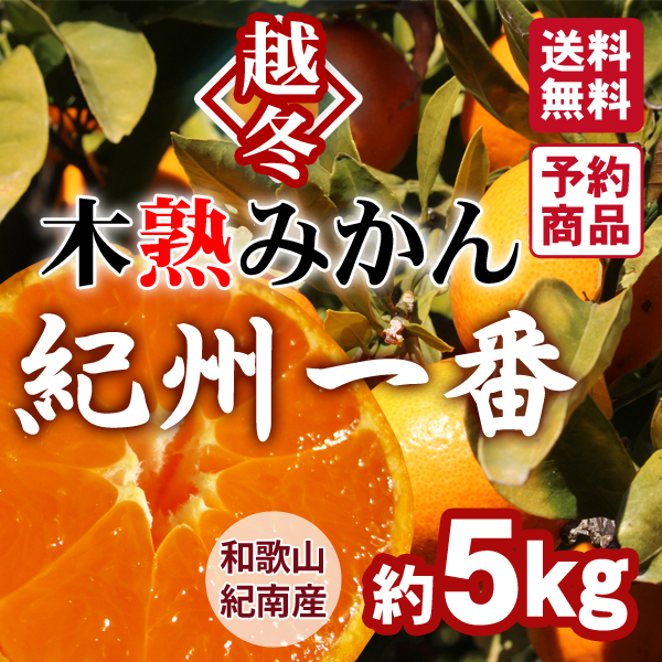 越冬木熟みかん