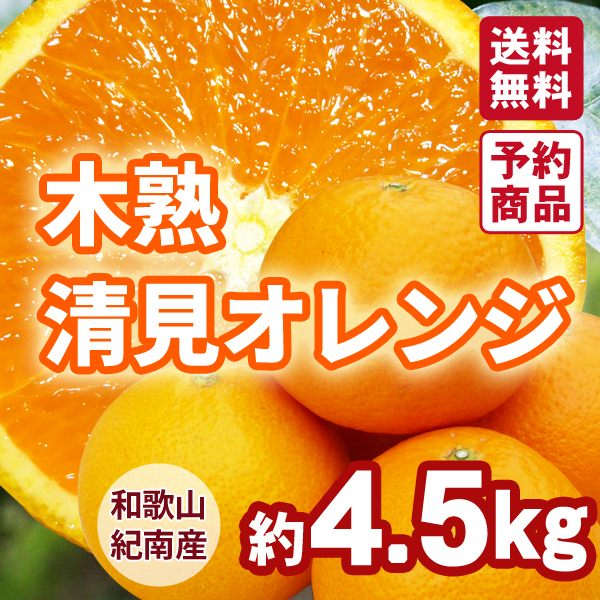 木熟清見オレンジ