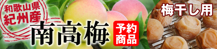 南高梅梅干用