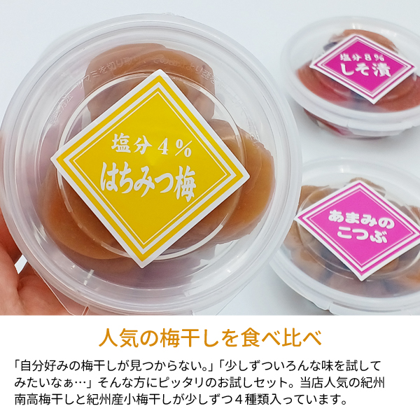 お試しセット2