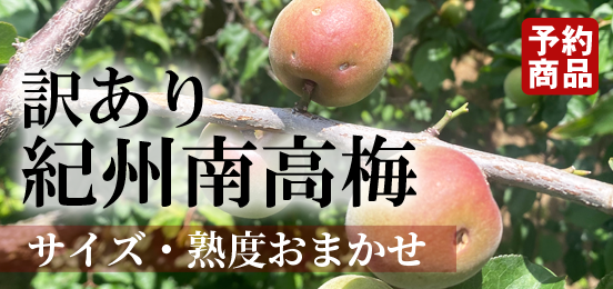 訳あり紀州産南高梅