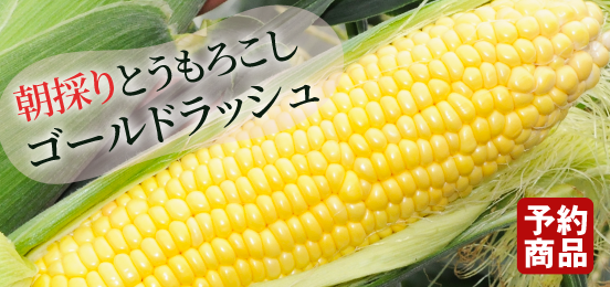 ソラマメ・うすいえんどう