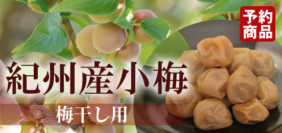 梅干し用紀州産小梅