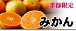 紀州産みかん