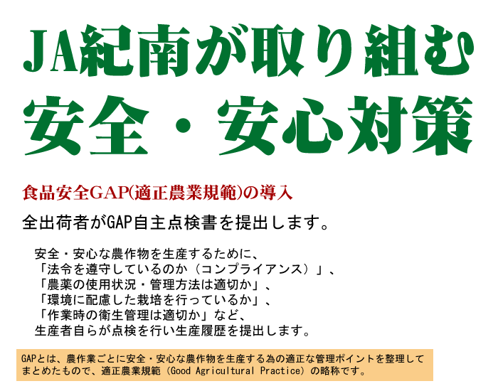 安全・安心1