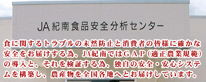安全・安心3