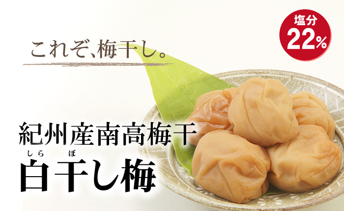 ご家庭用 白干し梅 500g×3パック 塩分22％ 紀州和歌山 梅干し・みかんのJA紀南