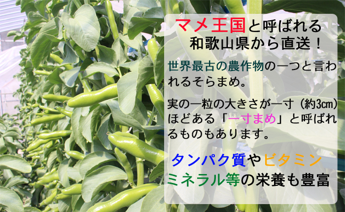 そらまめ