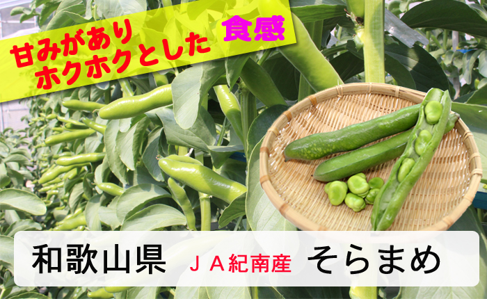 そらまめ