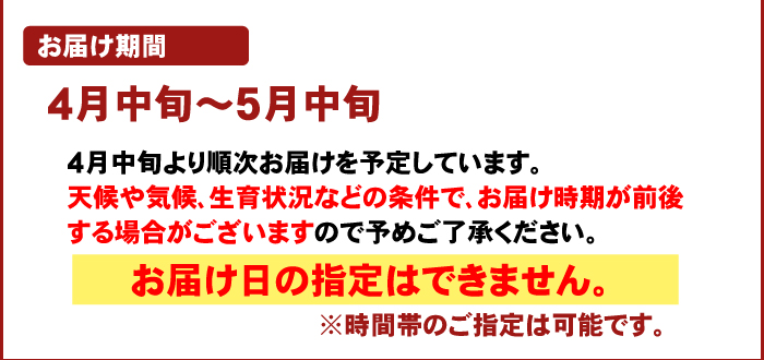 【送料無料】和歌山県JA紀南産 そらまめ 2kg