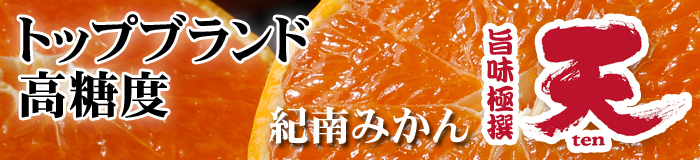 紀南みかん天