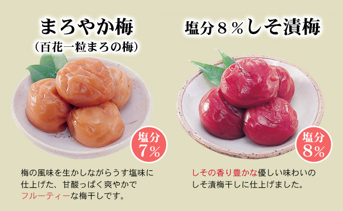梅四姉妹