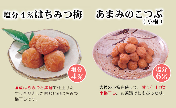 梅四姉妹