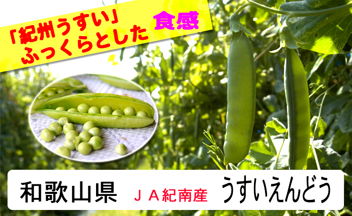 そらまめ