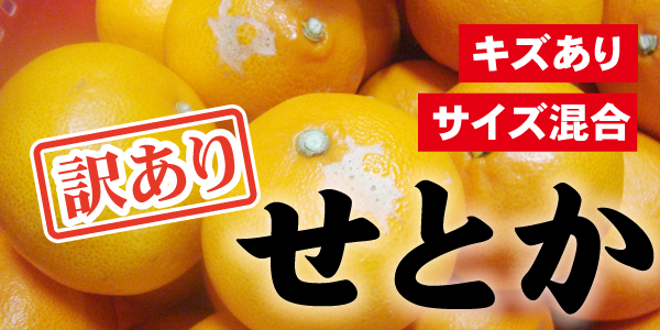 訳ありせとか