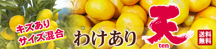 訳あり天