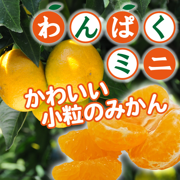 わんぱく