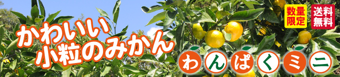 わんぱくミニ