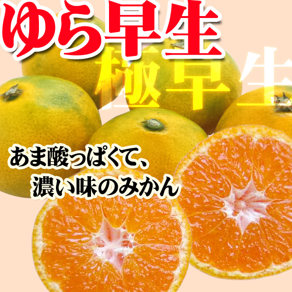 ゆら早生